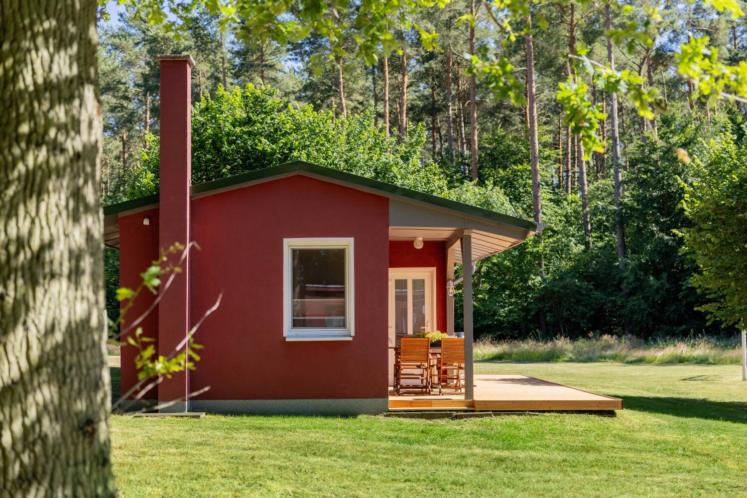moderner Natururlaub auf Rügen - Bungalow 6